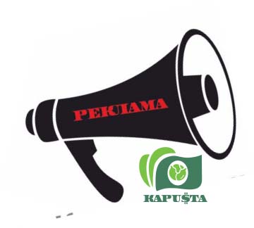 арбітраж трафіку з чого почати