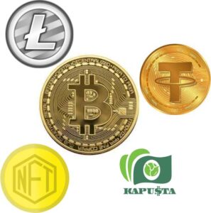 Види криптовалют
